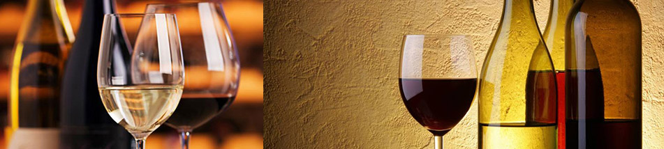 Cursos y capacitaciones